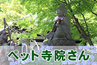 ペット寺院さん
